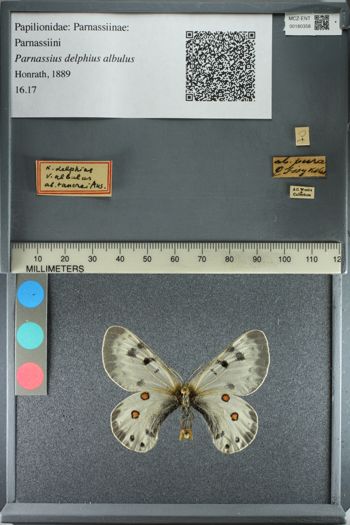 Media type: image;   Entomology 180358